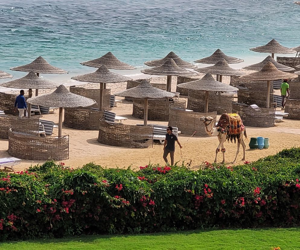Marsa Alam. Egipt