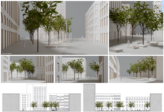 Plac Pięciu Rogów, plansza konkursowa 1