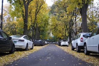Złota polska jesień na Saskiej Kępie
