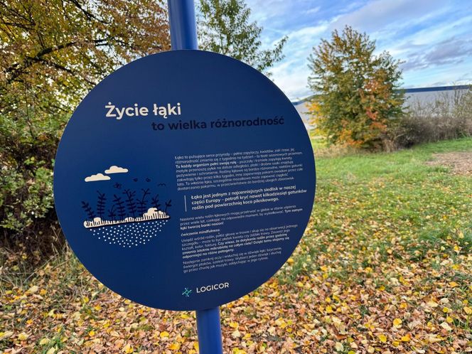 Serenity Park w Mysłowicach to nowe miejsce wypoczynku na Śląsku