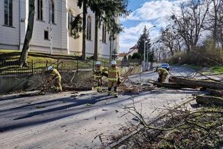 Burze śnieżne i wiatr paraliżują Polskę