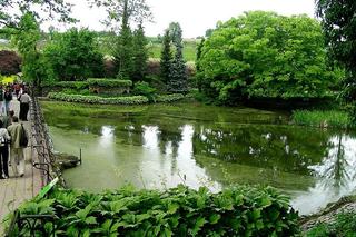 Arboretum Wojsławice - zdjęcia. Kiedy jechać?