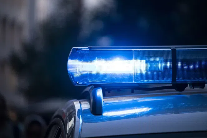 Łódzkie. Śmiertelny wypadek koło Aleksandrowa. Kierowca skody uderzył w drzewo