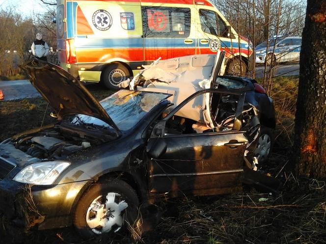 Świrydy. Tym autem jechała kobieta z 4-letnim dzieckiem. Toyota uderzyła w drzewo. Strażacy pokazali zdjęcia