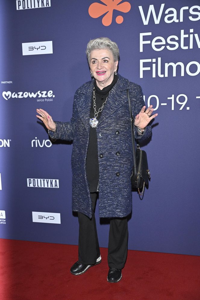 Warszawski Festiwal Filmowy