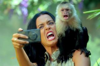 Katy Perry oskarżona o okrucieństwo wobec zwierząt w nowej reklamie