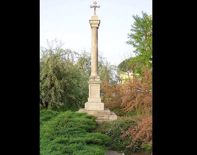 Cmentarz epidemiczny