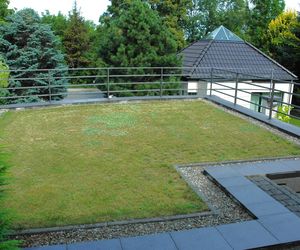Zielony dach - przechowa deszczówkę latem i ogrzeje dom zimą