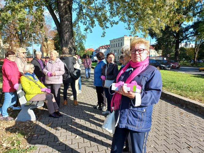 2 tysiące żonkili posadzono na Polu Nadziei w Lesznie. To symbol walki z rakiem