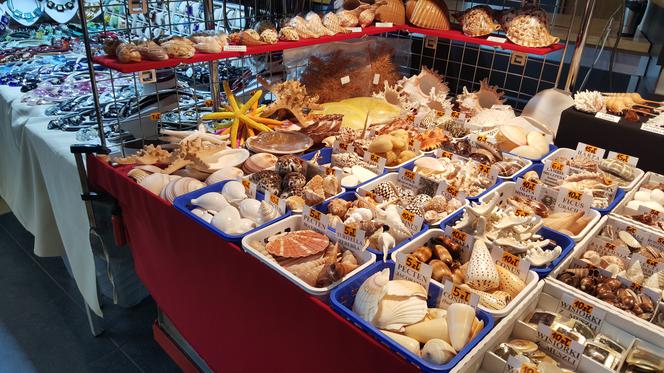 Giełda Minerałów w Sosnowcu