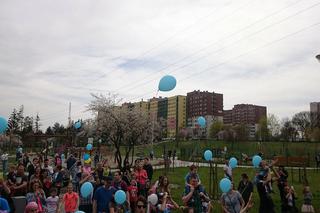 Sosnowiec: Niebieski piknik w Parku Polisensorycznym