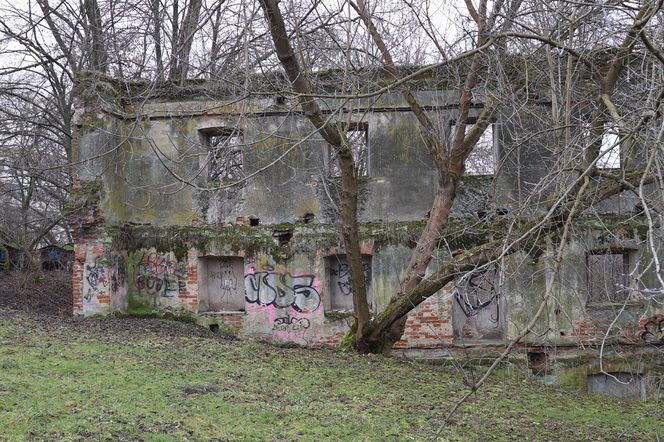 Spacer doliną Bystrzycy na lubelskim Wrotkowie