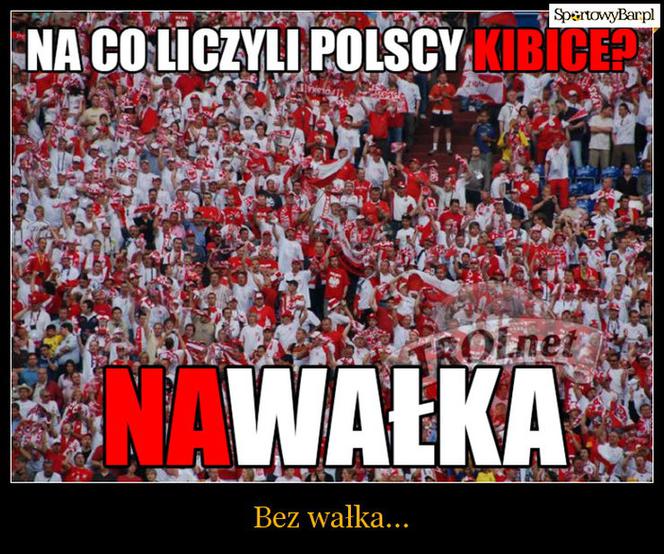 Polska - Irlandia, memy