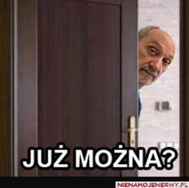 Powyborcze memy
