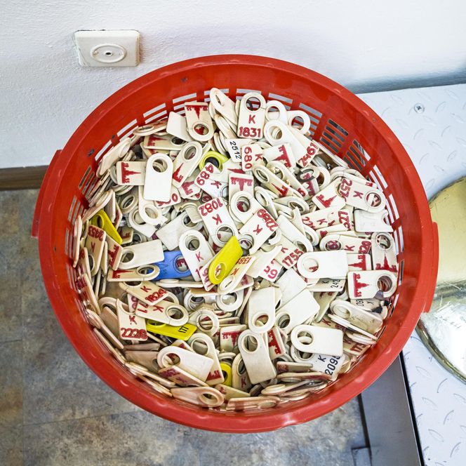 Pamiątki z Pałacu Kultury i Nauki. Historia budynku w przedmiotach 