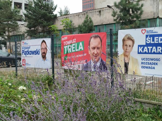 Plakaty wyborcze w Łodzi. Jest ich mnóstwo. Co się z nimi stanie po wyborach?