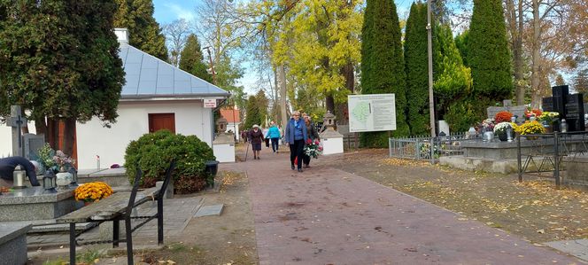 Przygotowania do Wszystkich Świętych Zamość