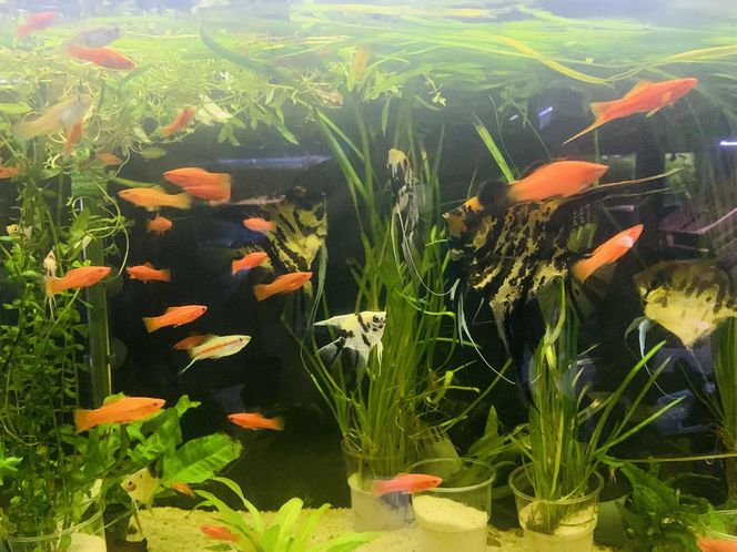 Rozmawiamy z Tomaszem Wiśniewskim, założycielem Aqua Dreams Bydgoszcz