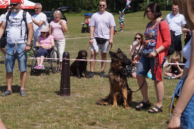 Psia radość i ludzkie serca. Myślęcinek pełen dobrych ludzi i ich czworonogów