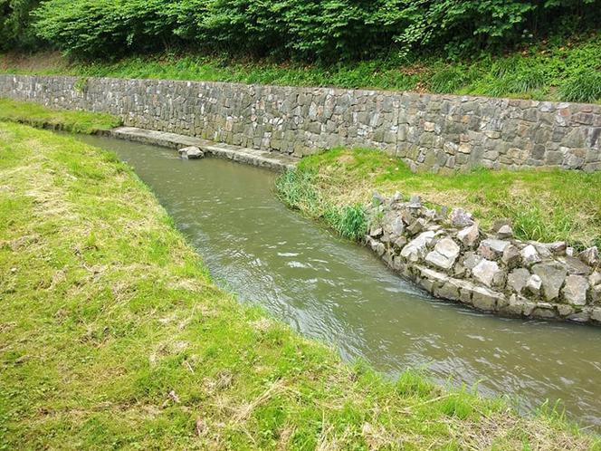 Sytuacja hydrologiczna w Tarnowie. Czy grozi nam powódź?