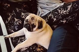 Smaszcz pochwaliła się nowym ukochanym! Miłość aż bije z tych zdjęć!