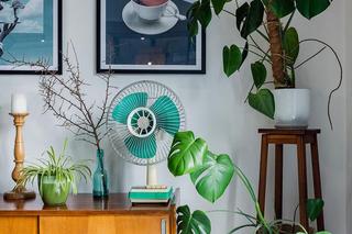 Kwiaty w domu. Aranżacje