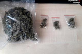 Szok! Na działce zamiast ziemniaków uprawiał konopie. Suszył je w wychodku!