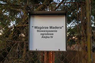 Wzgórze Madery będzie zielone? Miasto nie chce zabudowy