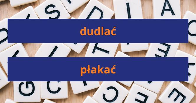 Słownik gwary poznańskiej - znasz najważniejsze słowa?