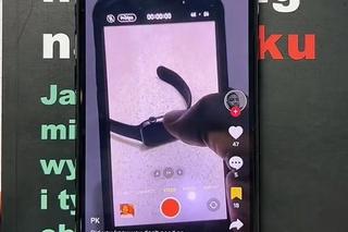 TikTok - ukryte funkcje 