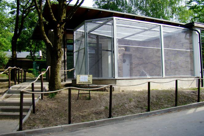 Zoo w Chorzowie