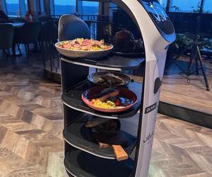 Roboty z Gdańska robią furorę wśród klientów restauracji. Kelnerzy na początku się ich bali [ZDJĘCIA]