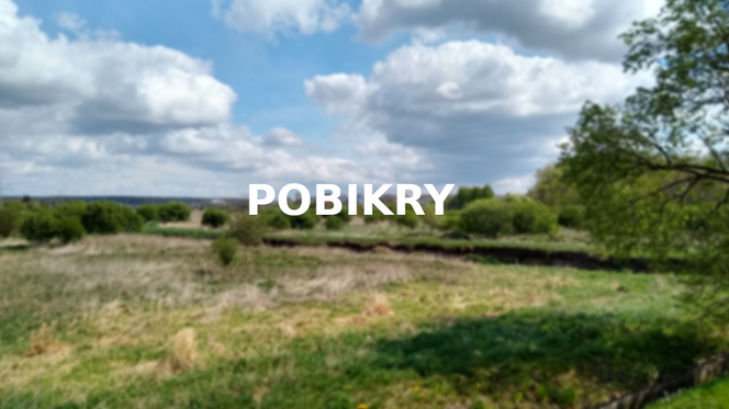 Pobikry