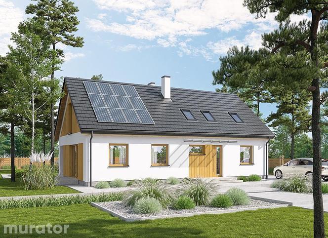 Projekt domu A101 W cieniu drzew (etapowy) - wizualizacja po zaadaptowaniu poddasza - okna w dachu