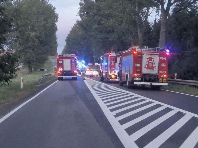 Przytoczna. Śmiertelny wypadek na DK 24. 49-latek nie żyje [ZDJĘCIA].