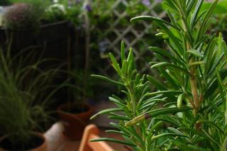 Mały balkon w bloku: PRZED i PO metamorfozie!