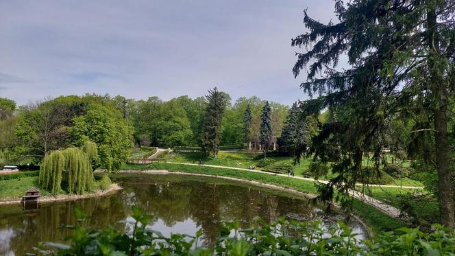 Zamość