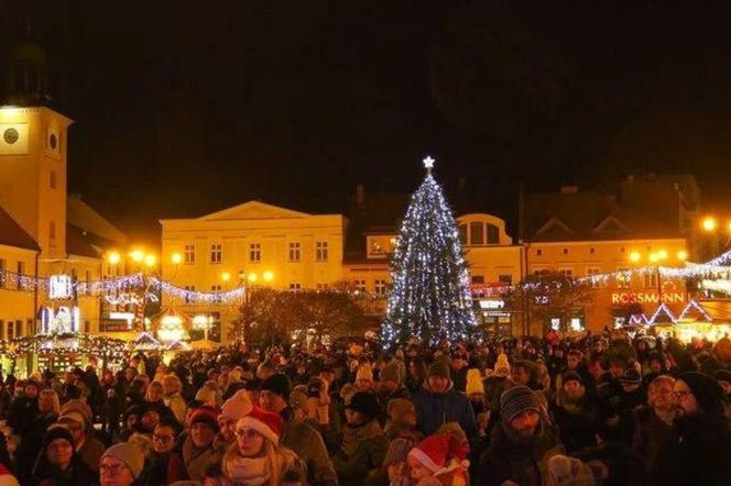 Poważny problem Rybnika. Miasto nie ma... choinki na Boże Narodzenie. Prosi o pomoc mieszkańców