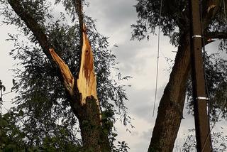 Skutki burzy w Krynkach. Złamany konar zerwał linię energetyczną i uszkodził auto