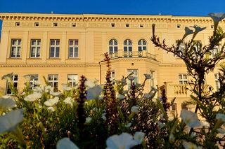 Sowa nieźle się pieni i dobrze pachnie. Nowe pamiątki z Ostromecka się podobają, ale ludzie chcą magnesu z Grubym