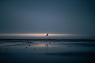 Zbiórka dla dzieci pilota F-16. Ile zebrano i co dalej z pieniędzmi?