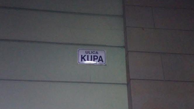 Kupa