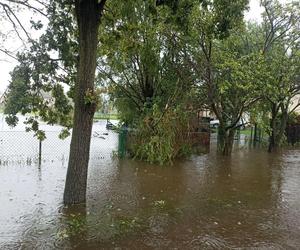 Trudna sytuacja w Małopolsce. Służby walczą z podtopieniami