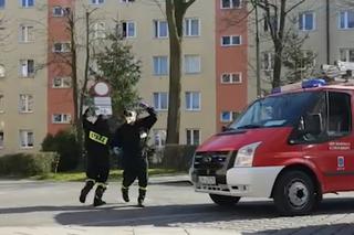 Koronawirus w Małopolsce. Do akcji wkroczył KRÓL JULIAN, a strażacy... [WIDEO]