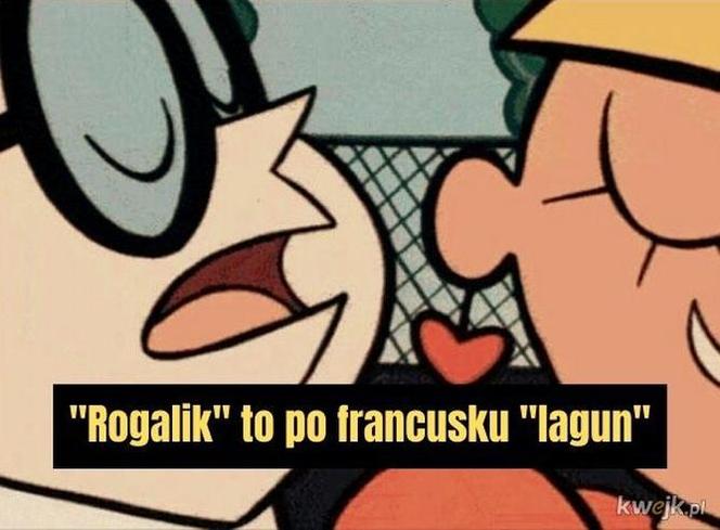 Krakowski lagun to prawdziwy FENOMEN! [MEMY]