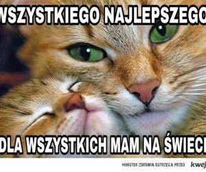 memy