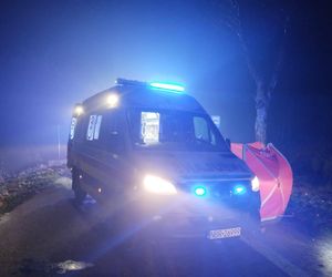 Horror na drodze pod Braniewem. Kierowca wypadł z opla po uderzeniu w drzewo