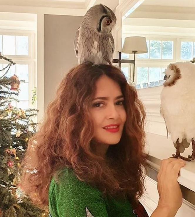 Salma Hayek hoduje SOWĘ! 