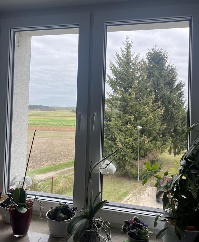 "Boimy się, co będzie dalej." Małżeństwo z Wyryków czeka na nowy dom