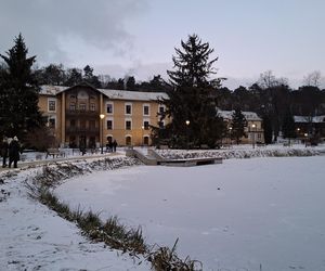 Nałęczów - Park Zdrojowy zimą